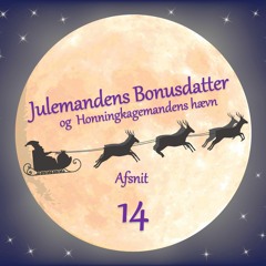 AFSNIT 14: Julemandens Bonusdatter - og Honningkagemandens hævn / Radio Viborg