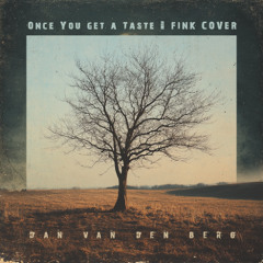 Once You Get A Taste | FINK cover by Dan van den Berg