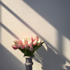 Garden(demo)