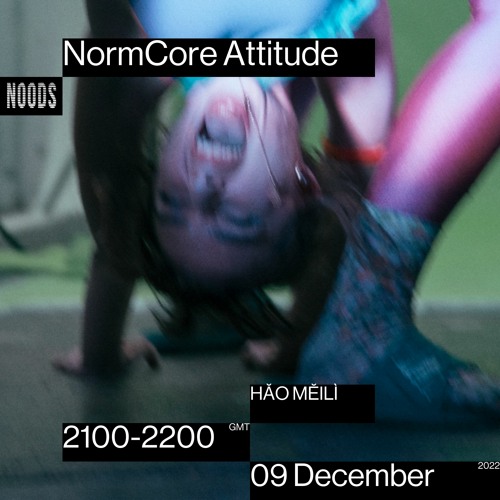 NormCore Attitude 35 w/ HĂO MĔILÌ