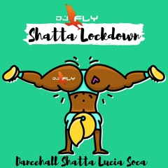 Shatta Lockdown By Dj Fly