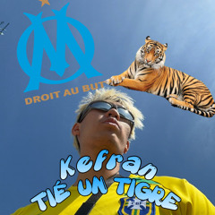 Tié un tigre