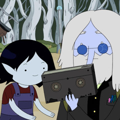 spent like 40 on those adventure time skins lol