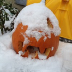 The Hard Halloween Hoedown Throwdown