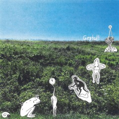 supernowhere - Gestalt