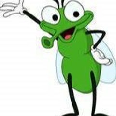 The Gnat