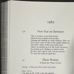 Sound #5 - Diego Florez, Bethan Hughes - the world in a glass hat