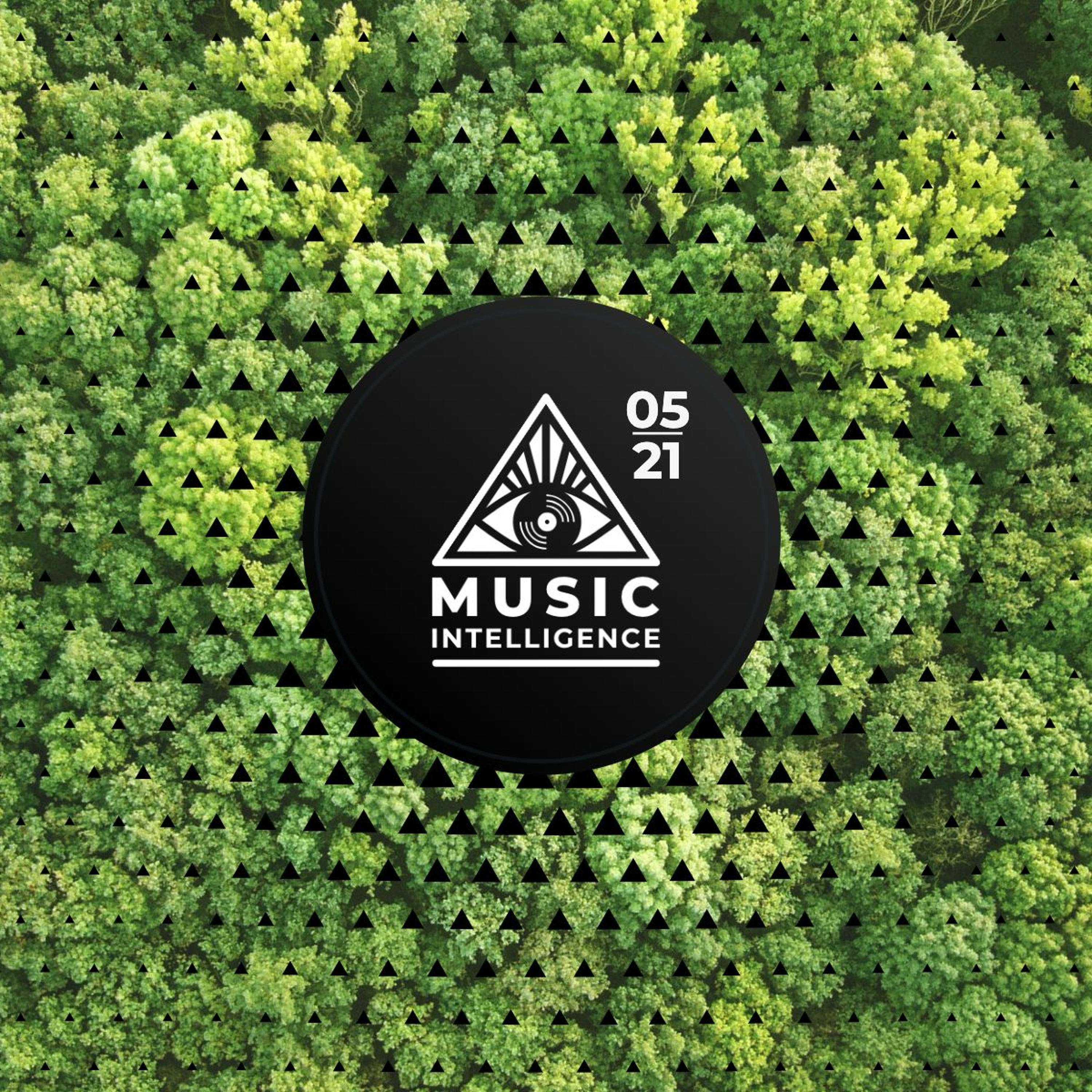 Music Intelligence Podcast