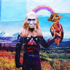 The Master Hawk