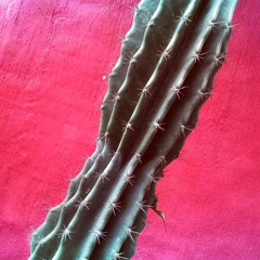 Me abro a la Muerte (Demo)