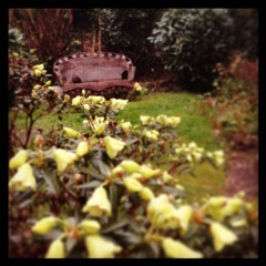 Ghosts (Welcome Back) GoA