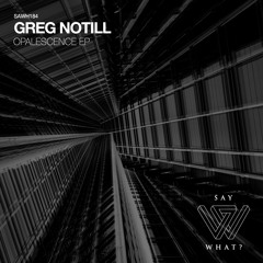 PREMIERE: Greg Notill - Opalescence [Say What?]