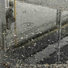 VERME feat. FLOWERSANDGRACE