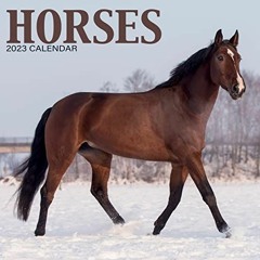 Read pdf 2023 Horses Mini Calendar by  Avonside Publishing Ltd