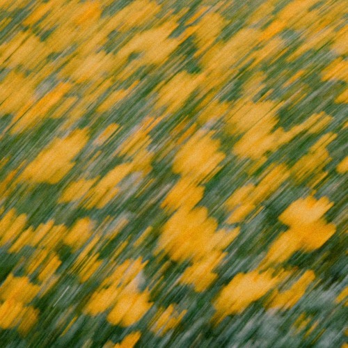 Mùa Hè Năm Đó - BRay & The Underdogs (Live At Rise Of The Underdogs)