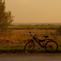 romantic homicide ~ d4vd (slowed)