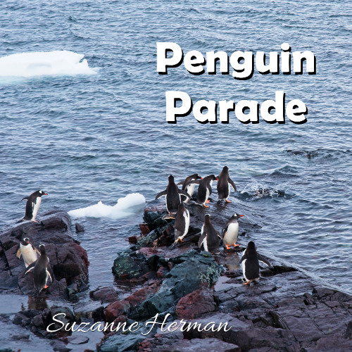 Penguin Parade