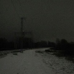 snowy forest