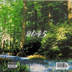 2045 [prod. by Danni]