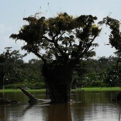 Vlotte Ω - ut Ploeterpad