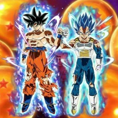 Saiyans Rage ( Goku & Vegeta )