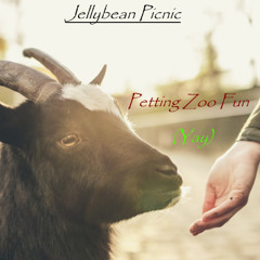 Petting Zoo Fun