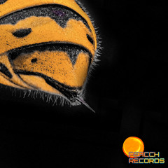 Return of the Wasp Waist / Calling All My Hoes