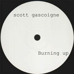 Scott Gascoigne - Burning Up
