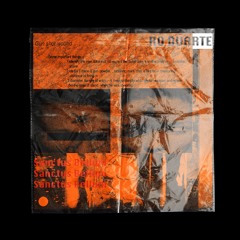 Ro Duarte - Judicium