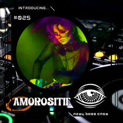 Introducing... Guest Mix #025 Amorositie
