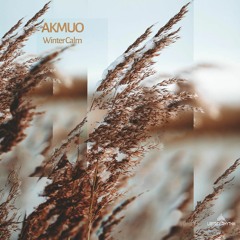 Akmuo - Hypnotic Winter Hike [Liberty Rhythm]