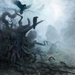 MEET ME IN THE WOODS