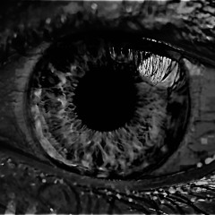 NINO - VISION [FREE DL]