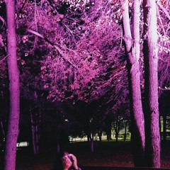 ZHETPEIDY YAKUT (demo.version 2024)