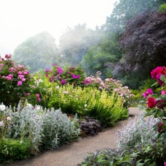 ACIM JAN 31 FIRESIDE CHAT – COME TO THE GARDEN with Lana Carolan