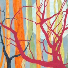 Chris, You Were Always 50