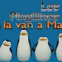 Los Pingüinos Me La Van A Mascar