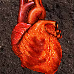 myheartisdirt[PRODINFERNO]