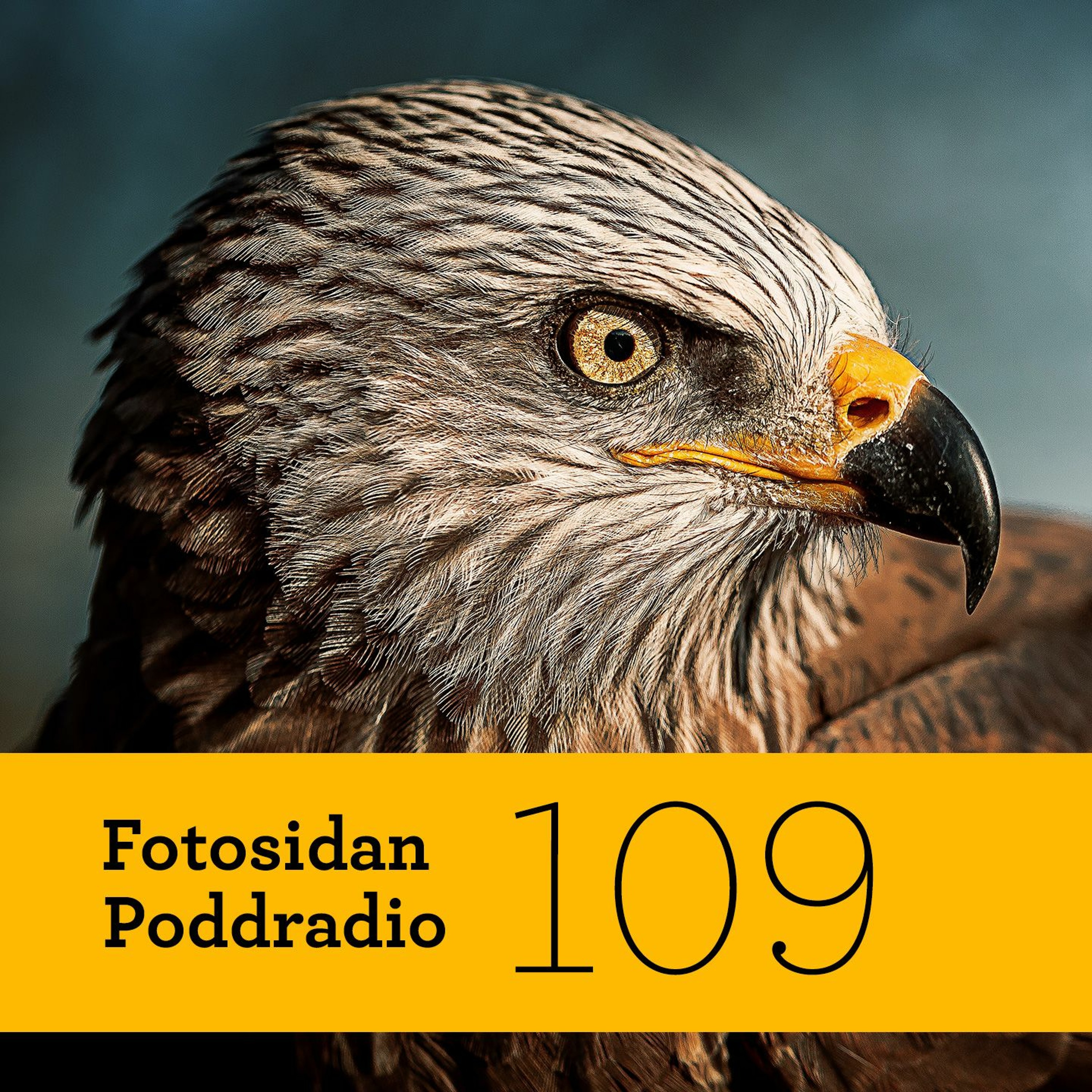 Fotosidan Poddradio