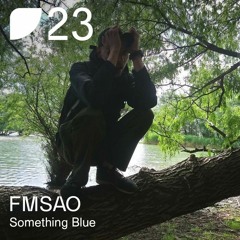 Fields Podcast 023: FMSAO «Something Blue»