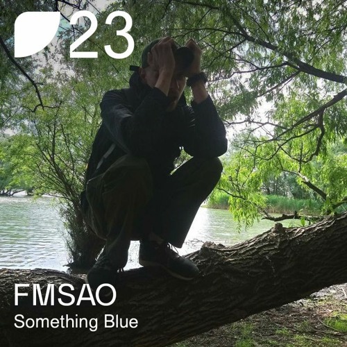 Fields Podcast 023: FMSAO «Something Blue»
