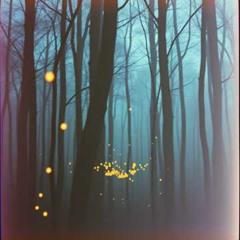 Meet Me in the Quiet