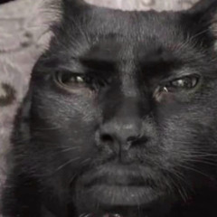 Shia LaBeouf (prod. olxkid)