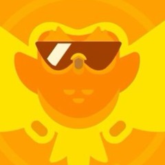THE DUOLINGO TOUR