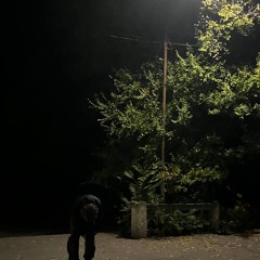 that night