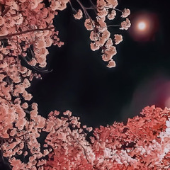xeraki - moonlight [diego777]