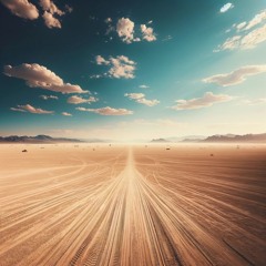 WILL @ Burning Man 2024