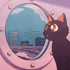 NateTheSpaceGod - Forever Whiskers (Nightcore Remix)