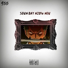 SEINE BAY NIOW NEU