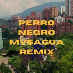 Perro Negro - Mvsagua Remix
